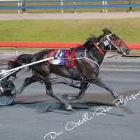 Matthew Crone (@crone_matthew) 's Twitter Profile