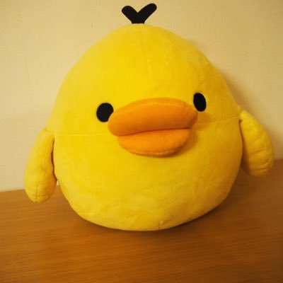 遊戯王してる人 最近note始めました→ https://t.co/B5GrkJOdff 2023年11月に1型糖尿病発症