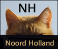 Twitterpunt van De_Hereniging voor vermiste en gevonden huisdieren voor de provincie Noord-Holland.

Lees dit! http://t.co/2jMIscSzoU
