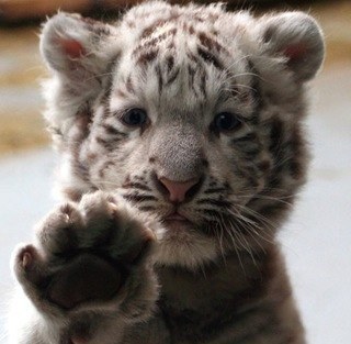 PinkBug69's profile picture. 