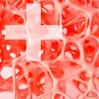 SwissBoneMineralSociety(@SwissBoneSoc) 's Twitter Profile Photo