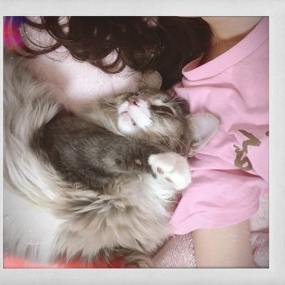 aoiao_gs's profile picture. 2人のアカウント