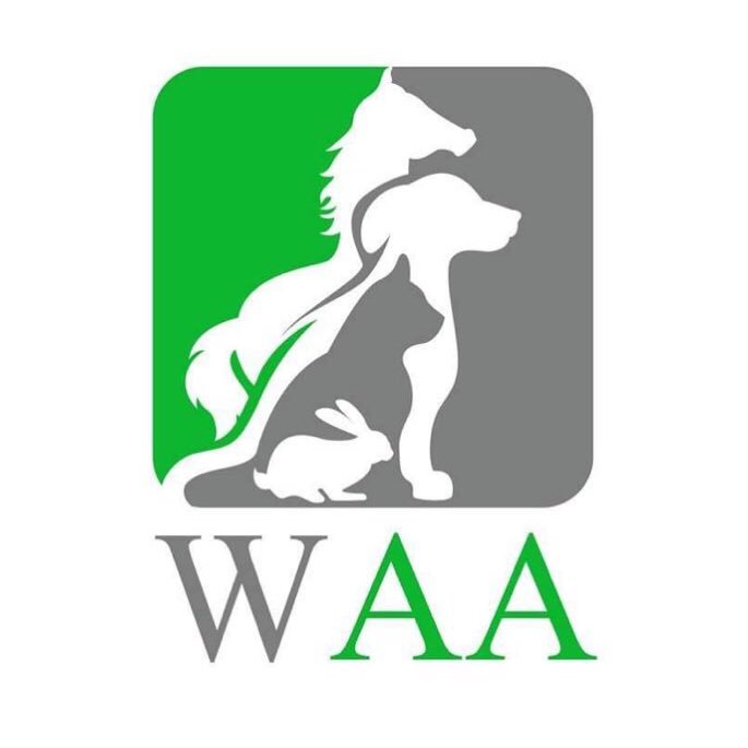 Wetnose Animal Aid FUN online Pet Shows! WIN Rosettes Prizes whilst fundraising for small rescues in need! 🏵🏆 🐕🐈🦜🦔🐎🐓🐇 All Pets Worldwide JOIN US!