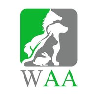 Wetnose Online Show (@wetnoseshow) 's Twitter Profile