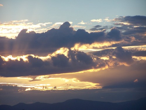 maureenodowd's profile picture. Wife, mother, beekeeper and wellness advocate. Passionate about the environment and eating well. I use essential oils is every aspect of self care!! 🐝