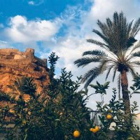 #اهل-الجوف (@ahlaljouf) 's Twitter Profile