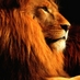 Africa Experts (@africaanswers) Twitter profile photo Africa Experts (@africaanswers) Twitter profile photo