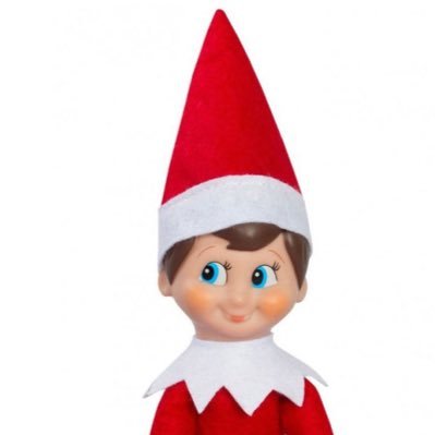 I’m one of many Santa’s Elf that sit on a shelf for a special child I am watching over