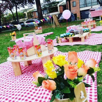 organización de fiestas infantiles. decoraciones temáticas , refrigerios , inflables , cajitas personalizadas y mucho más 🎊🎉🎈⛺️