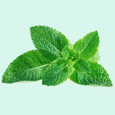 minto10131111's profile picture. 特になし