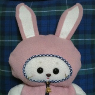 dqringo's profile picture. 訳あって生き物寄りになってます。生物沢山知りたいオバさん。無言フォローすみません。 LEGO、宇宙、ドラクエ、犬など好き 。王様ファン。大好物はカレーとお蕎麦、たこ焼き。出来る人々のつぶやきに日々感動。