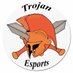 FHS Esports Team (@fhs_team) Twitter profile photo