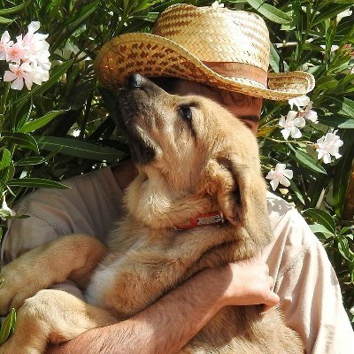 Eradiosp's profile picture. 