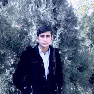 MaherZalmay's profile picture. 