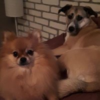 Matthew Johnson (@matthuejohnson) 's Twitter Profile