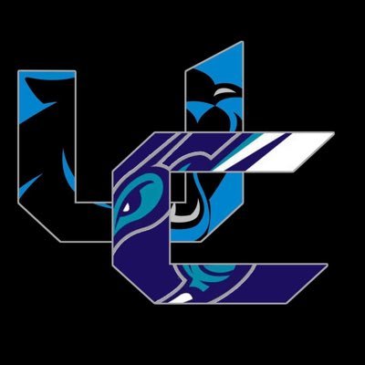 Hornets. Panthers. Charlotte culture. https://t.co/Xx4zgiqBMb