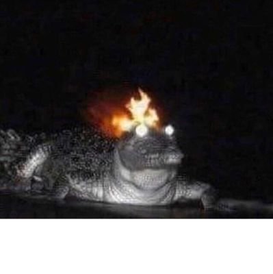 bae_got_cakes's profile picture. 