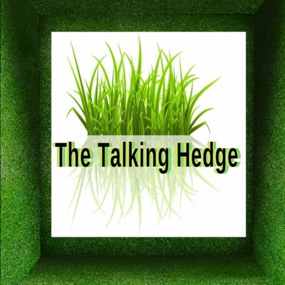 theTalkingHedge Profile Picture