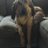 CinnamonHaze's avatar