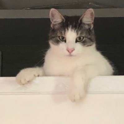 joujou28774595's profile picture. 