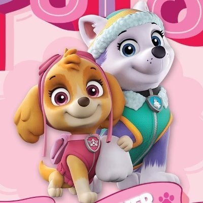 paw patrol air rescue everest
