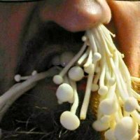 Tim Kai is~ (@djtimkai) 's Twitter Profile Photo