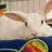 bunnyfunddotorg's profile image