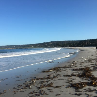 A Californian who loves traveling, people and life!