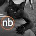 NB (@negukobaratza) Twitter profile photo NB (@negukobaratza) Twitter profile photo