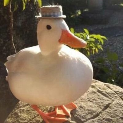 Ayalecさんのプロフィール画像