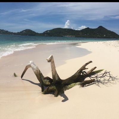 Carriacoucove Carriacou Kayak Grenada westindies