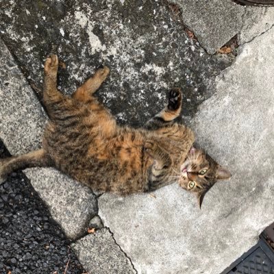 hzHfqIOtYfgwg4Y's profile picture. 