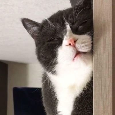 agungrahmat571's profile picture. 