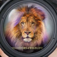 Warriors4Wildlife™ 🌐Ⓥ🐾(@W4W_Global) 's Twitter Profile Photo