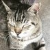 ズル剥けの会🐢公式サイト「ズル剥けinfo」運用中 (@mukechin_fun) Twitter profile photo ズル剥けの会🐢公式サイト「ズル剥けinfo」運用中 (@mukechin_fun) Twitter profile photo