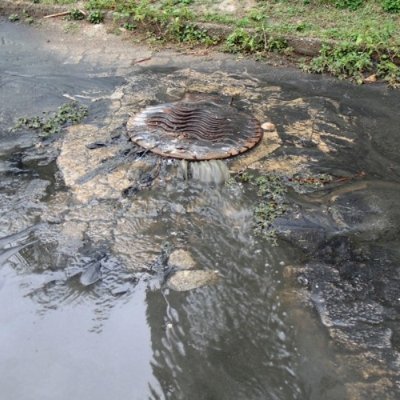 Ninguemprefeito's profile picture. Verdade, nada mais que a verdade