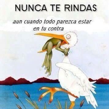 El secreto de la felicidad no es siempre hacer lo que se quiere,si no querer lo que se hace.” León Tolstoi