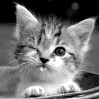 vle081689's profile picture. Knowledge comes from learning. Experience comes from living. A life without problems is like a school without lessons.
#Joohoney100