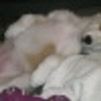 Bossa (@bigben__) 's Twitter Profile
