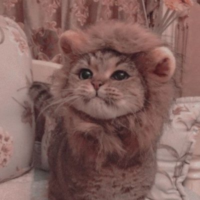 AsunaMaew's profile picture. 