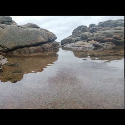 Pieter85812400's profile picture. Play a lot of golf