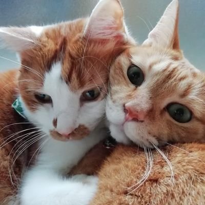 たろ子♪