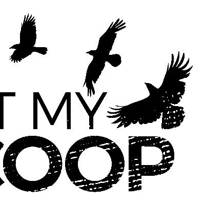 Not My Scoop is a social justice campaign to encourage more understanding of the Indigenous child welfare system in Canada.