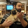 EverTheBestMatt's profile picture. Game designer and front end engineer. OH MY GOURDS!, @cursechasers. Stay safe, look after each other. He/Him