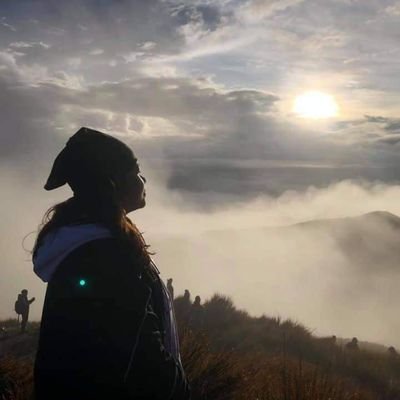 meowpaupau's profile picture. 🌈