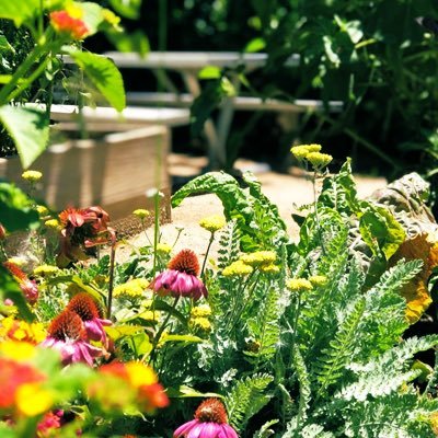 Cindy52591279's profile picture. 