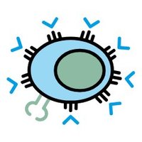 immunoclinicbcn (@immunoclinicbcn) 's Twitter Profile