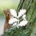 Brownsea Island (@brownseant) Twitter profile photo Brownsea Island (@brownseant) Twitter profile photo