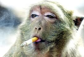 KiRieKaNan's profile picture. 