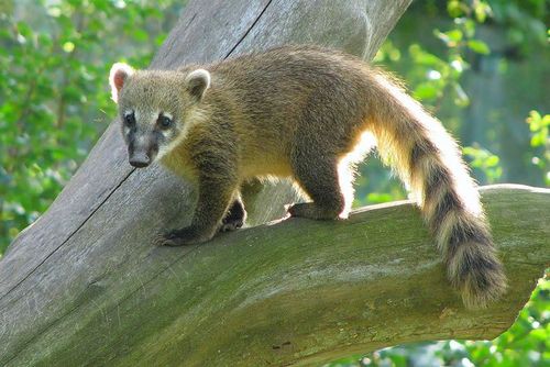 TFilinova's profile picture. 